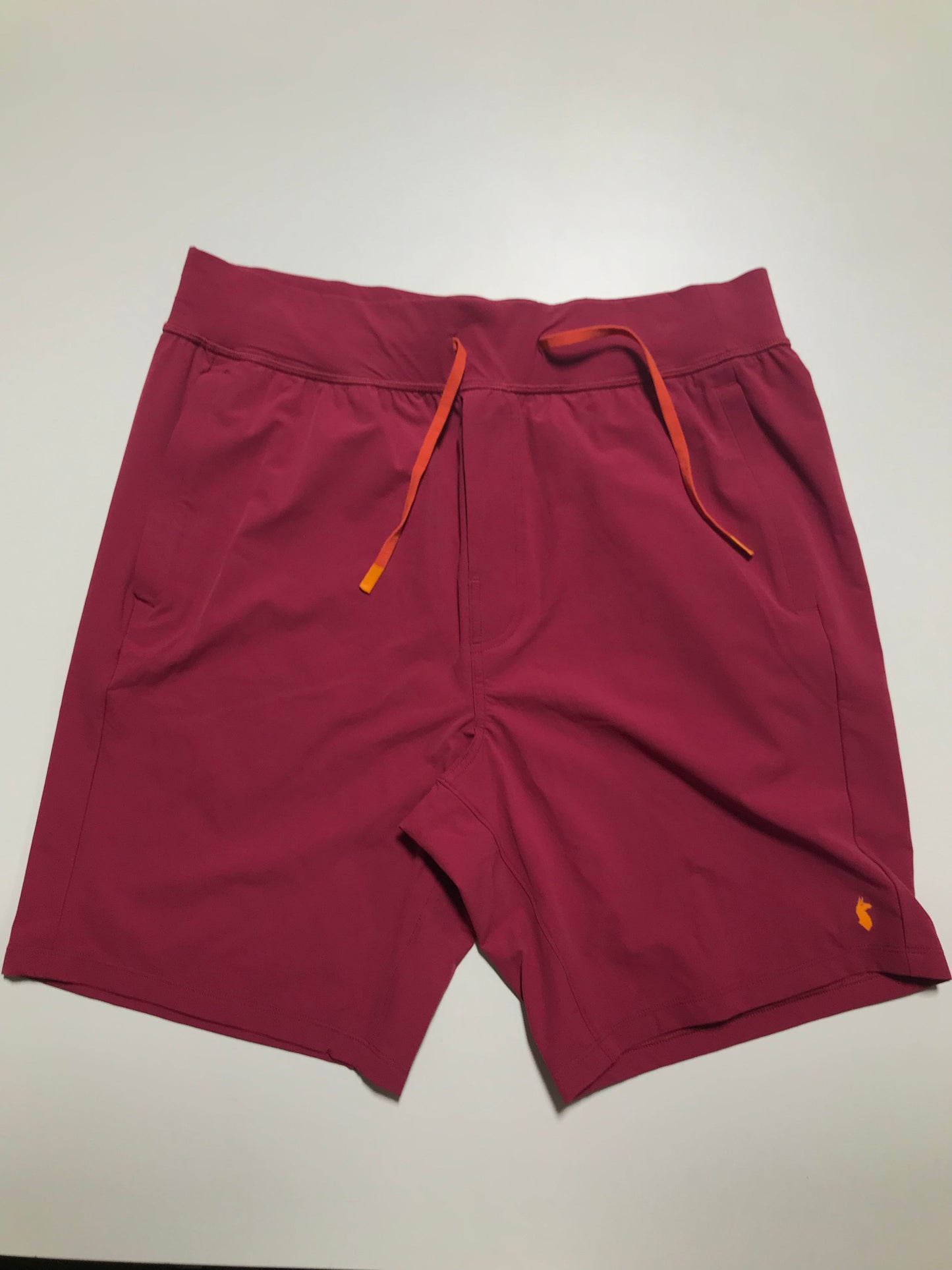 Cotopaxi Men's Shorts SAMPLE