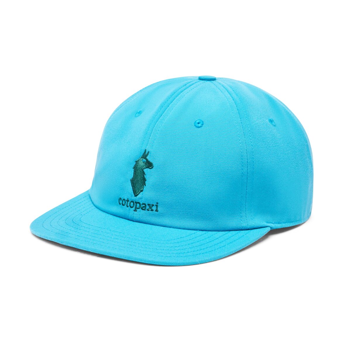 Cotopaxi Dad Hat (S23469U469) SAMPLE