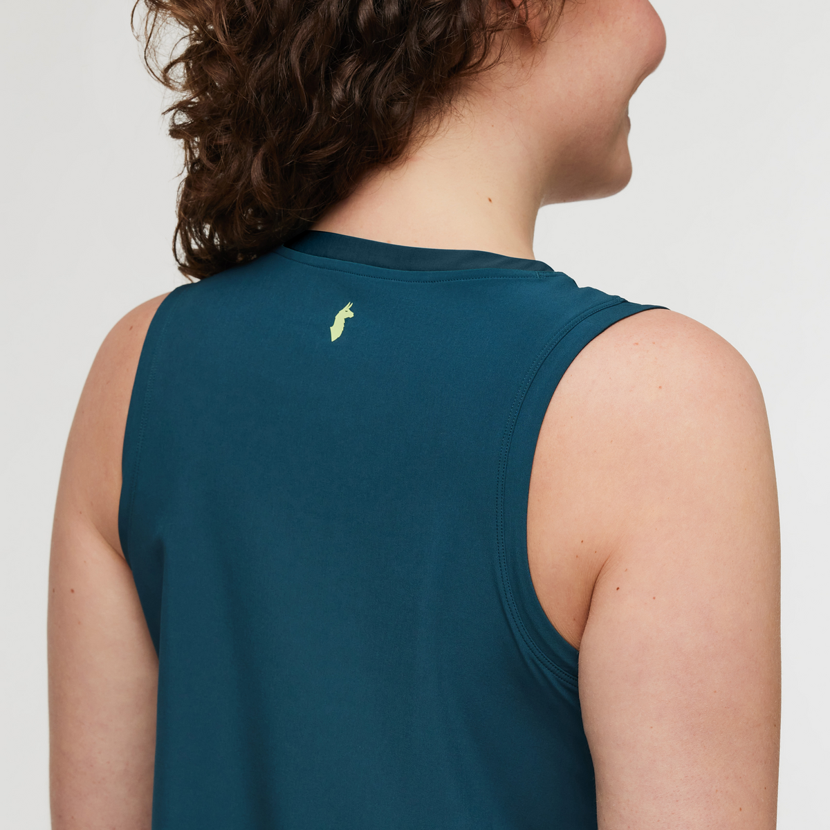 Cotopaxi Women's Cambio Dress (S24470W834)