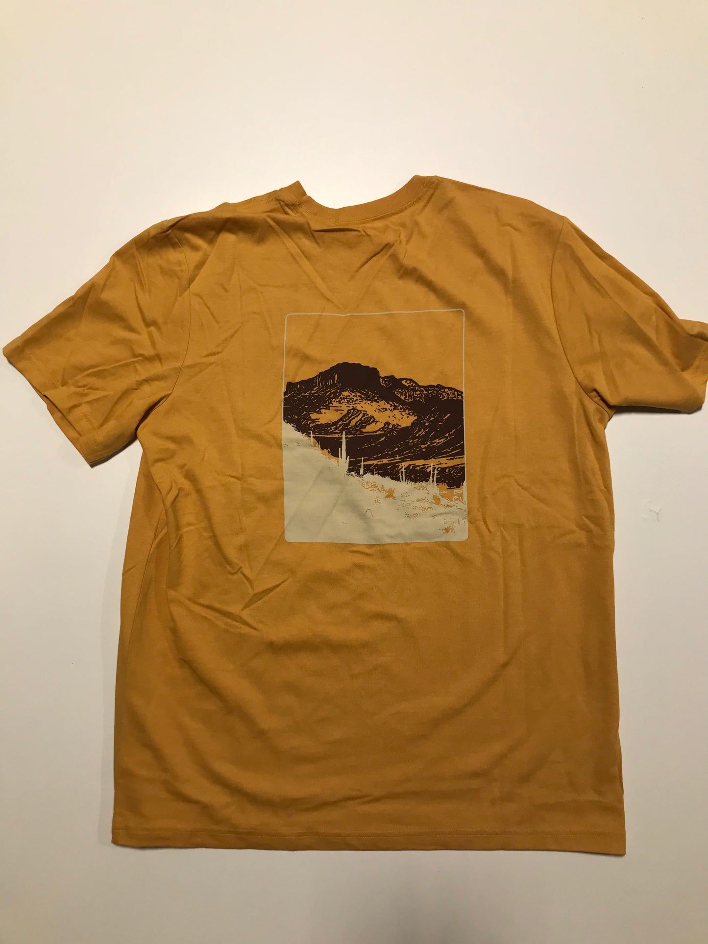 Cotopaxi Men's Down the River T-Shirt SAMPLE