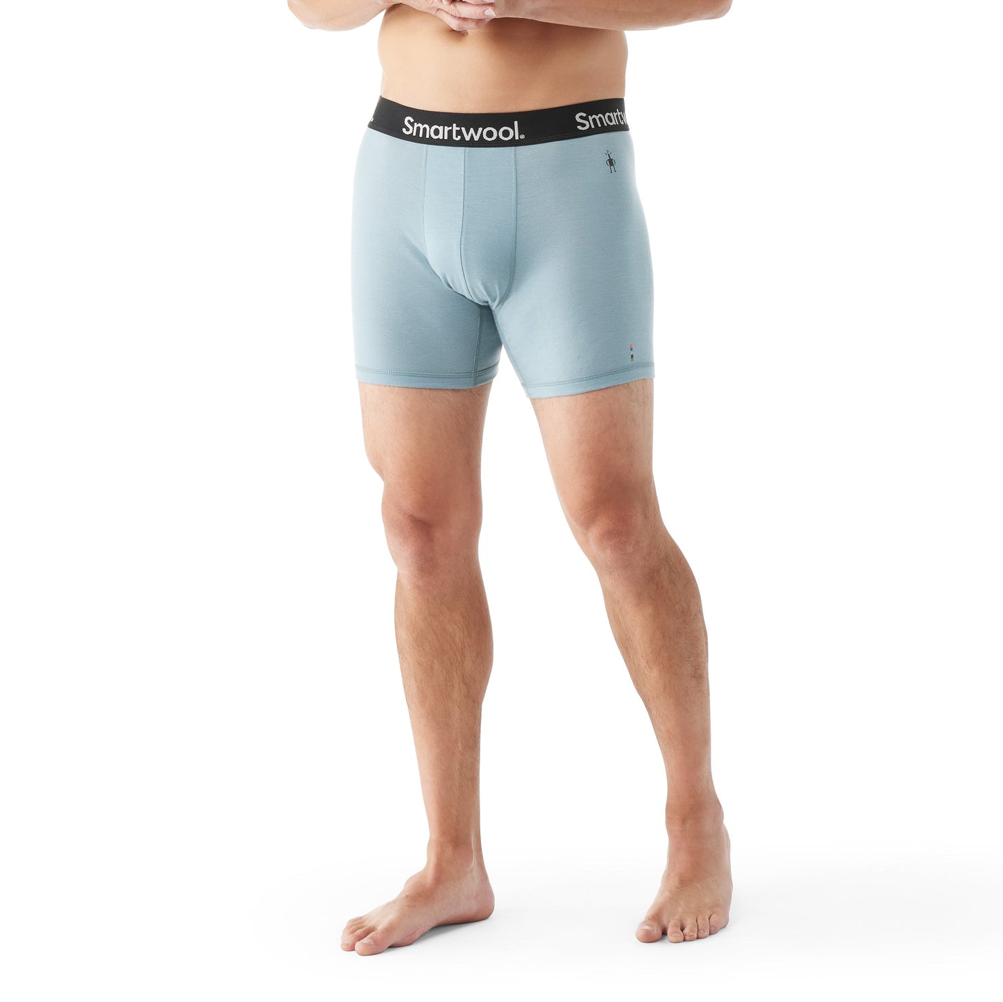 Smartwool Men's Merino Everyday Boxer Brief (SW002462) SAMPLE