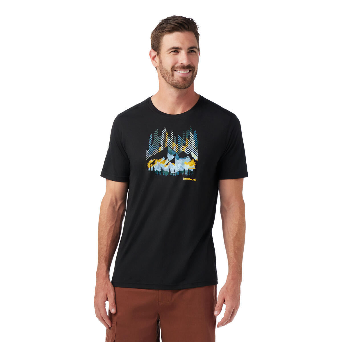 Smartwool Men's Vital Peaks Active Short Sleeve Graphic Tee (SW002753)