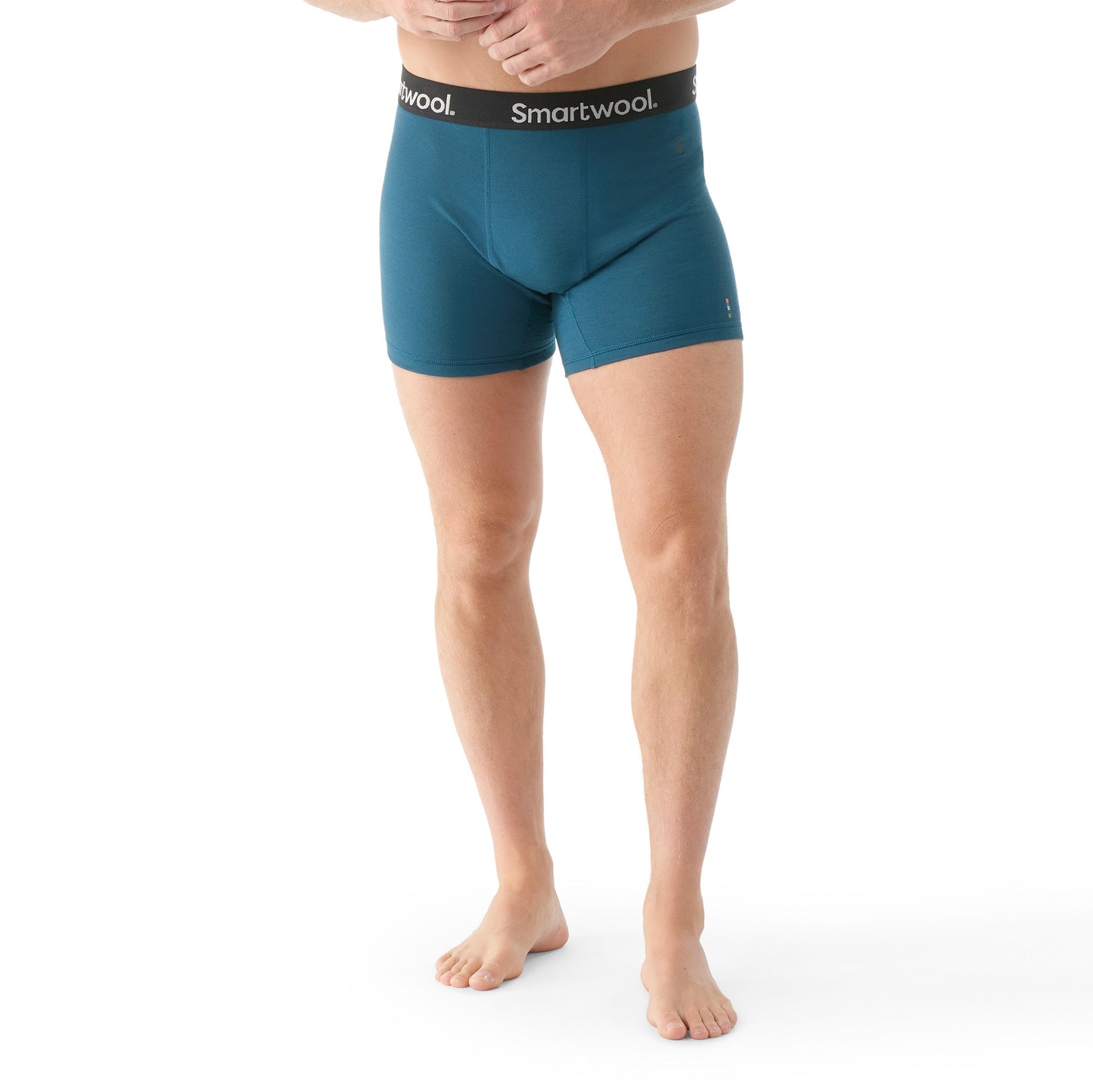 Smartwool Men's Active Boxer Brief (SW016996) SAMPLE