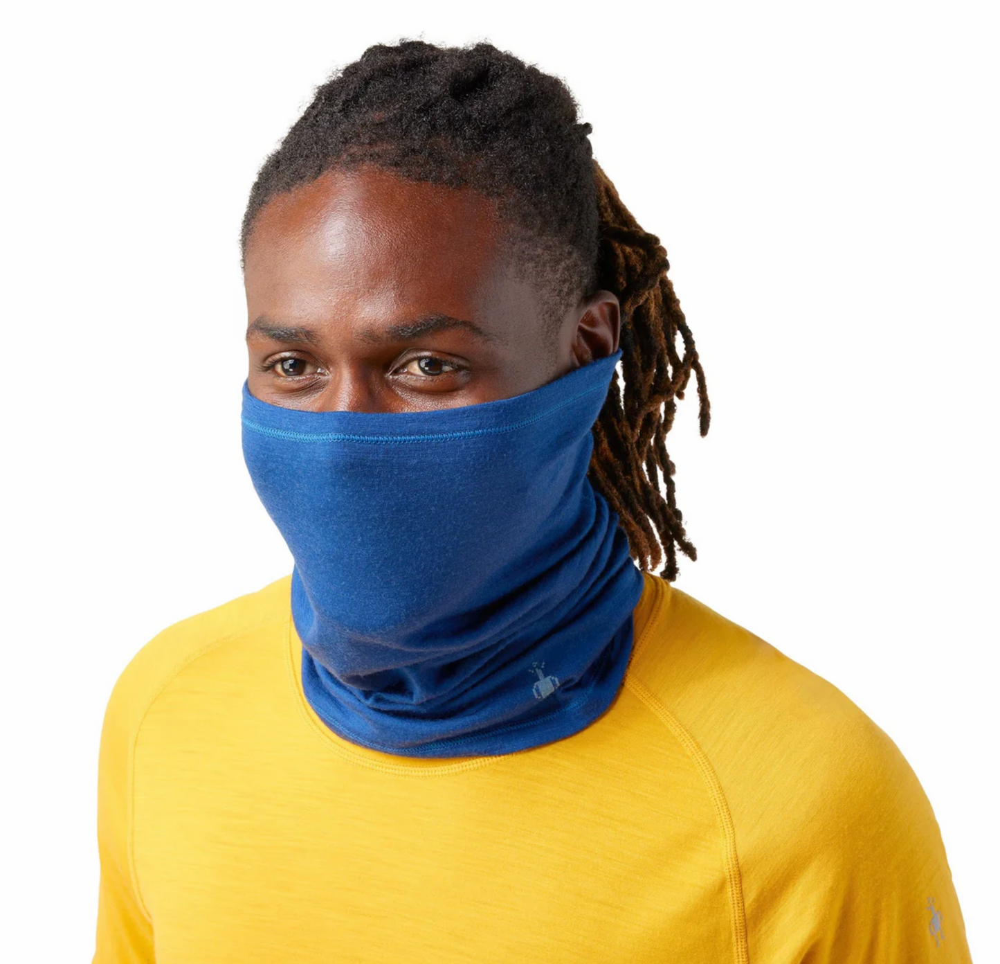 Smartwool Merino 150 Plant Based Dye Neck Gaiter (SW017049) SAMPLE