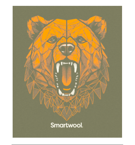 Smartwool Men's Geometric Bear Long Sleeve Graphic Tee (SW002980) SAMPLE