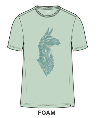 Cotopaxi Men's Into the Pines T-Shirt SAMPLE