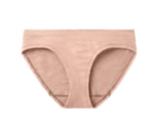 Smartwool Women's Seamless Bikini (SW000848) SAMPLE
