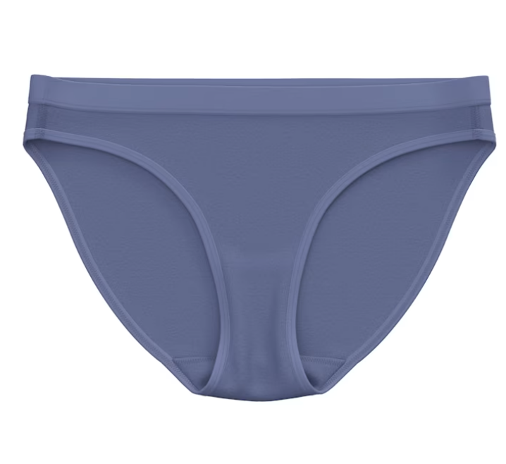 Smartwool Women's Everyday Merino Bikini (SW0024111) SAMPLE