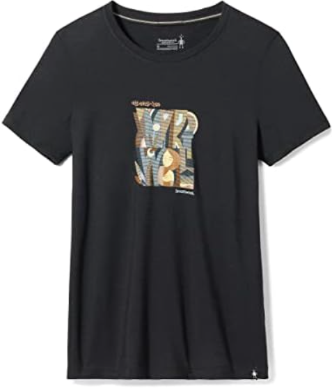 Smartwool Women's Carved Logo Graphic Tee Short Sleeve Tee (SW016894) SAMPLE