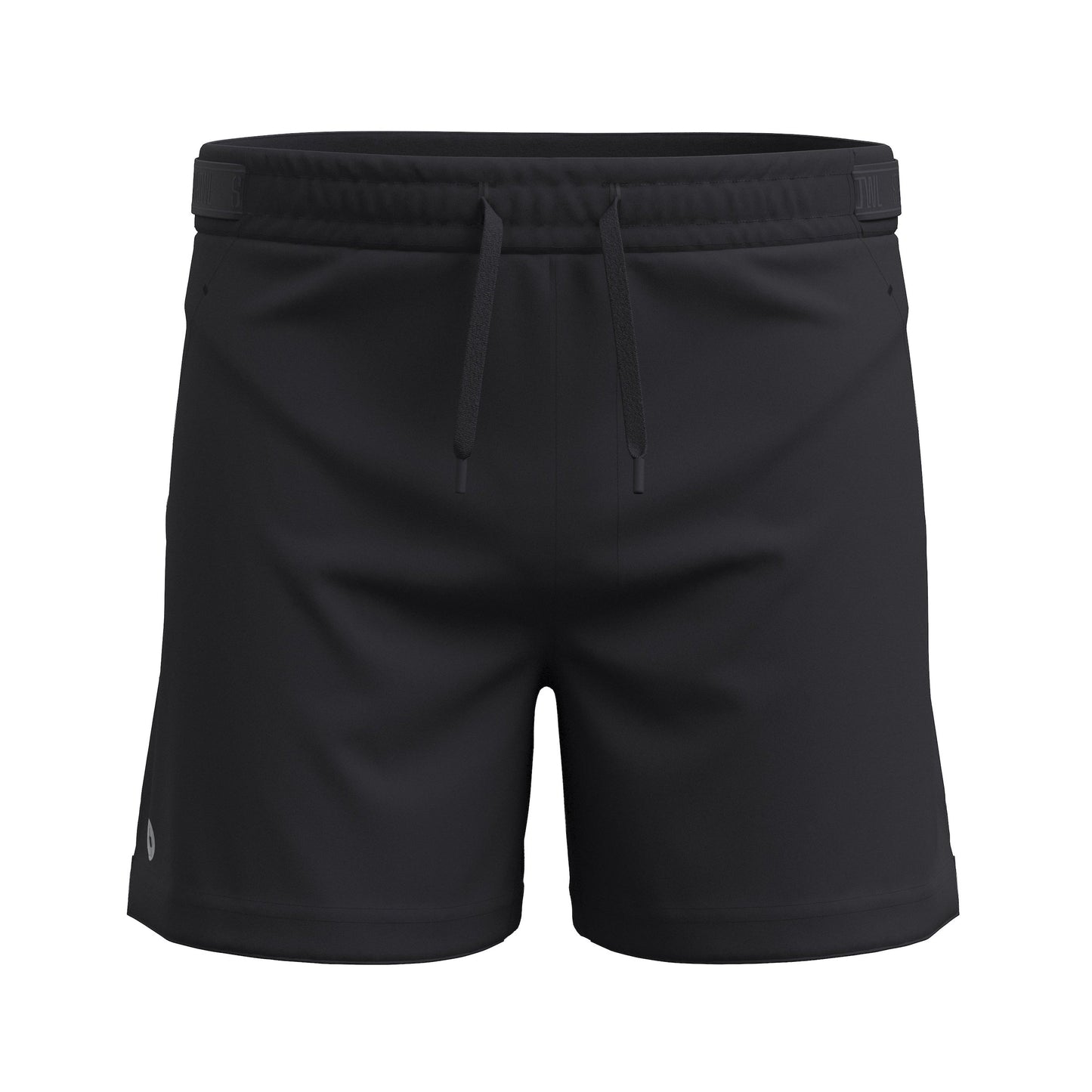 Smartwool Men's Active Lined 5" Short (SW002394)