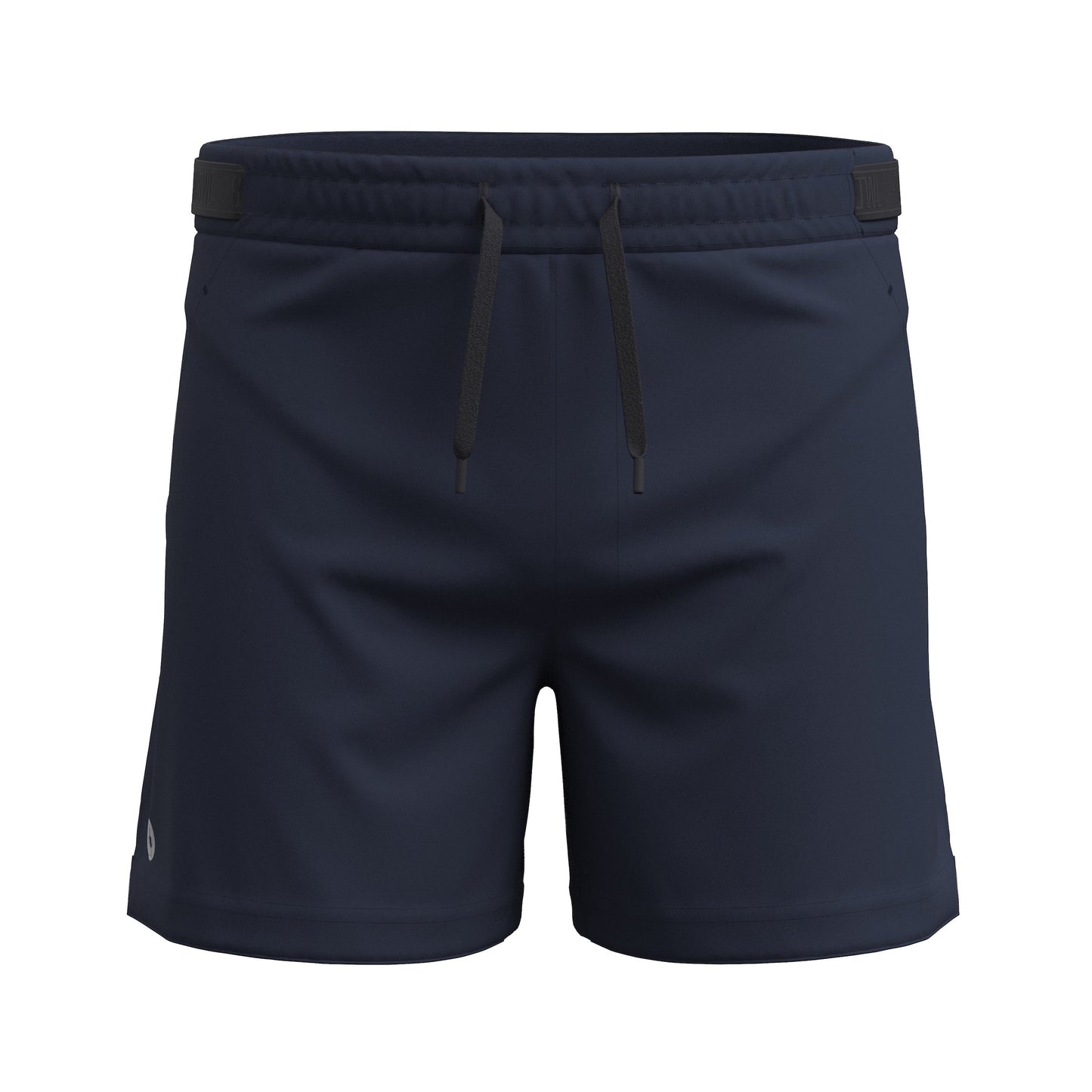 Smartwool Men's Active Lined 5" Short (SW002394)