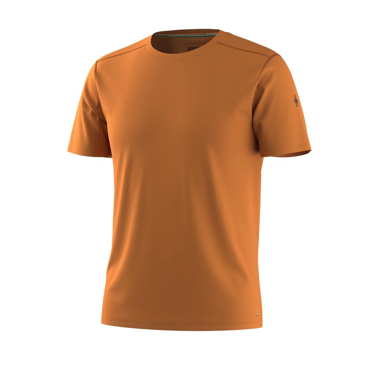 Smartwool Men's Merino Short Sleeve Tee (SW016948)
