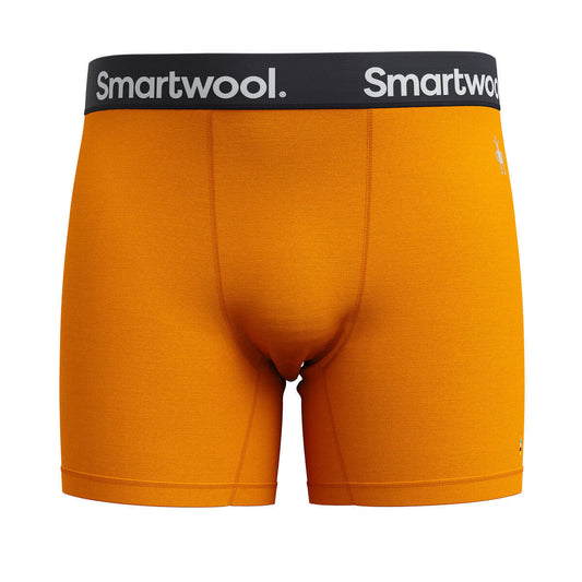 Smartwool Men's Active Boxer Brief (SW016996) SAMPLE