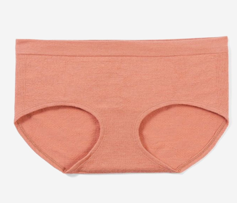 Smartwool Women's Merino Sport Hipster (SW000850) SAMPLE