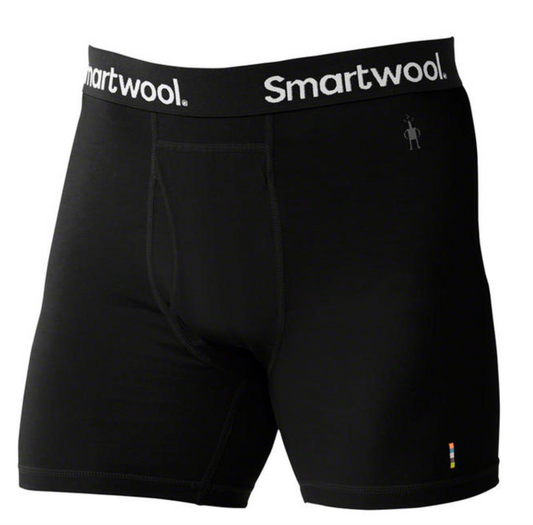 Smartwool Men's Merino 150 Boxer Brief (SW014011) SAMPLE