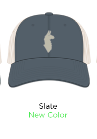 Cotopaxi Llama Trucker SAMPLE