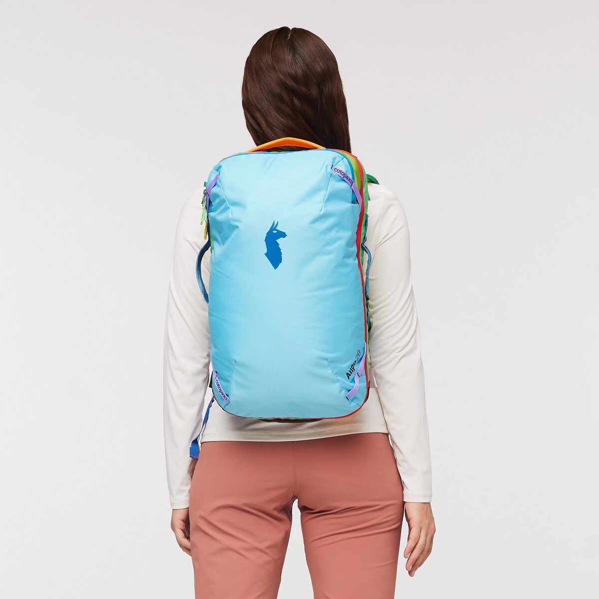 Cotopaxi Allpa 26 Daypack Del Dia SAMPLE